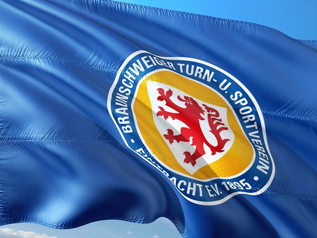 职业体育经 职业体育经