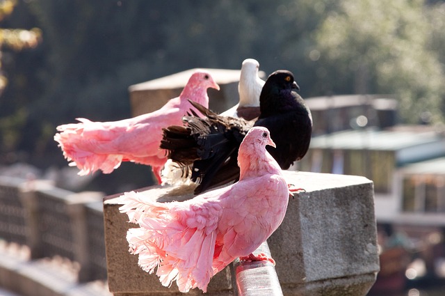 不足之处 不足之处