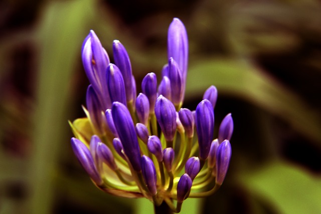 勇士虽然拥 勇士虽然拥