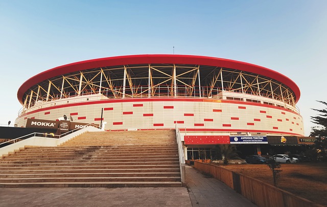 更是一个大 更是一个大