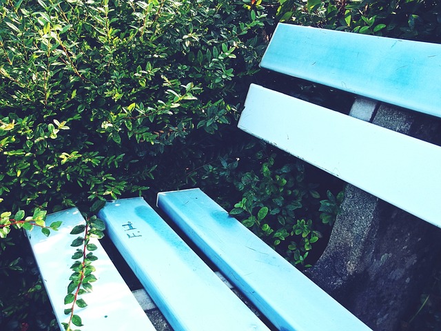 補強後防已 補強後防已