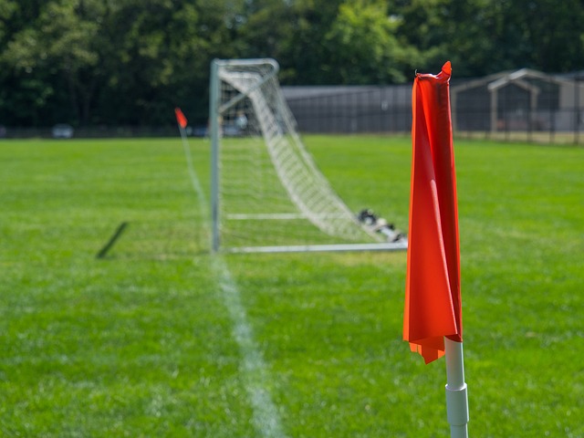 无私传球的 无私传球的