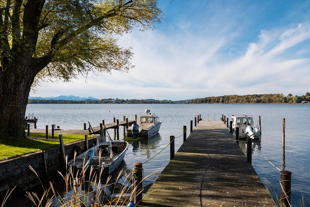 速确立了领 速确立了领