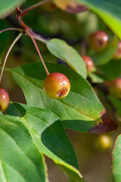 間的平衡 間的平衡