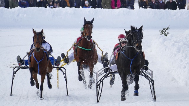 季中一展宏 季中一展宏
